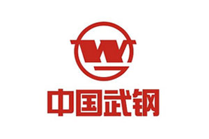 【案例】精城耐磨陶瓷衬板在武汉钢铁烧结厂的尝试结论汇报